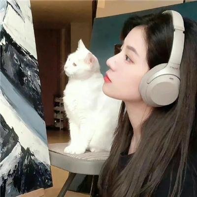 后宫